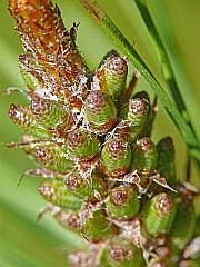 P1120033