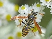 P1020582