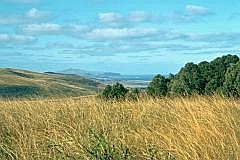 Osterinsel-Landschaft