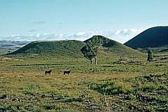 Auf dem Weg zum Maunga Puna Pau: Vulkane