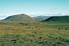 Auf dem Weg zum Maunga Puna Pau: Vulkane (Cerro Tuutapu?)