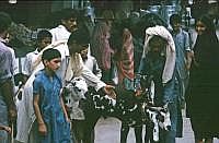 Rawalpindi