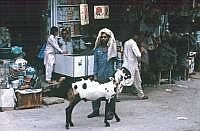 Rawalpindi