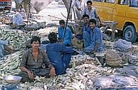 Auf dem Weg nach Mingora