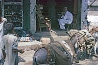 Madyan