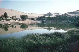 Oase Huacachina