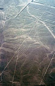 Nazca: Scharrbild 'Kondor'