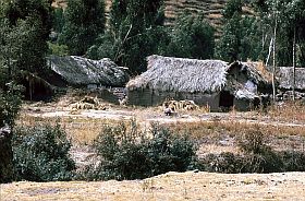 Bauernhaus auf dem Weg nach Pisac