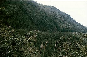 Strae in die Yungas nach Coroico