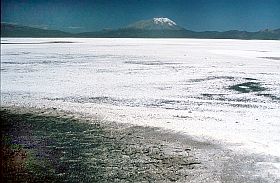 Laguna Salinas mit Vulkan Ubinas