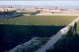 Oase Arequipa