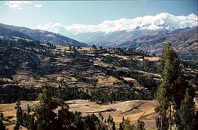 In der Nhe von Huaraz, im Hintergrund die Cordillera Blanca