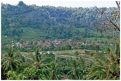 Zwischen Mayong und Banjar