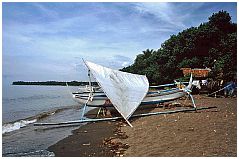 Lovina Beach