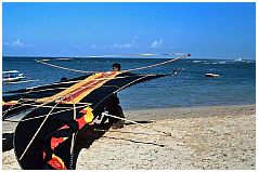 Sanur - Drachen