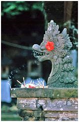 Goa Lawah - Fledermaushhle