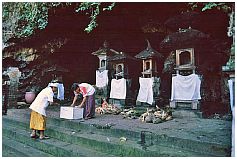 Goa Lawah - Fledermaushhle