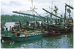Fischerdorf Perancak 
