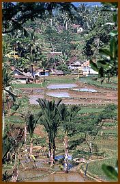 Kampung Naga