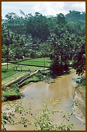 Kampung Naga