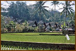 Kampung Naga