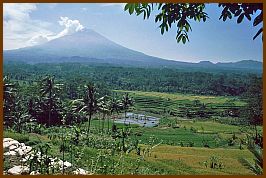 Gunung Sumbing 