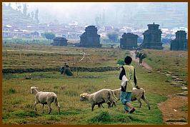 Dieng Plateau - Arjuna-Gruppe