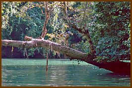 Green Canyon bei Cijulang