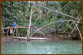 Green Canyon bei Cijulang