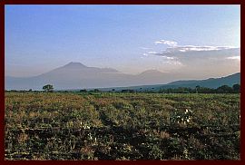 Mt. Baluran