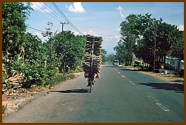 Holztransport mit dem Fahrrad