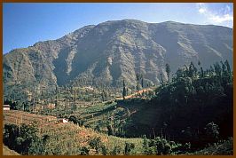 Landschaft bei Malang