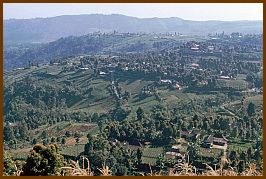 Umgebung von candi Sukuh