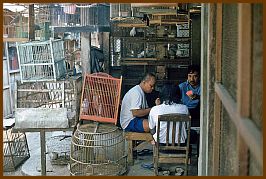 Yogyakarta -  Vogelmarkt (Pasar Ngasem)