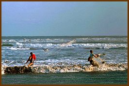 Strand von Parangtritis