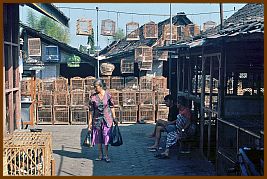 Yogyakarta -  Vogelmarkt (Pasar Ngasem)