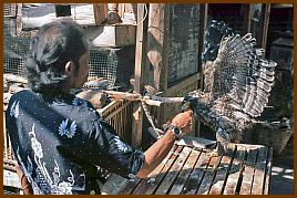 Yogyakarta -  Vogelmarkt (Pasar Ngasem)