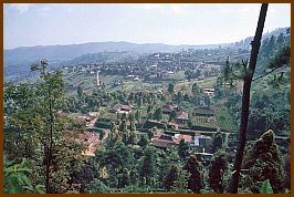 Umgebung des Candi Ceto