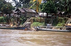 Dayak-Dorf auf dem Ufer des Katingan-Flusses