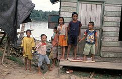 Kinder in einem Dayak-Dorf am Katingan Fluss