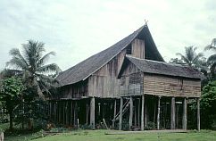 Betang Tumbang: Langhaus