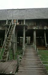Betang Tumbang: Haupteingang des Langhauses