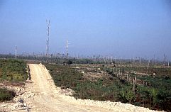 Zerstrungen und Reste des Regenwaldes auf der Strecke Banjarmasin - Pangkalanbun