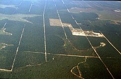 Anlagen von lplantagen, Reste des Regenwaldes (Luftbild)