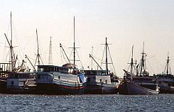 Hafen in Kumai