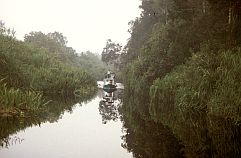 Nebenfluss des Sekonyer mit Boot