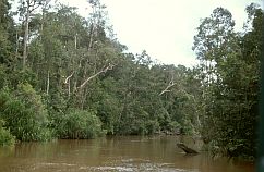 Der Sekonyer-Fluss bildet die Grenze zum Nationalpark
