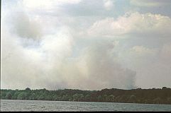 Waldbrnde in der Nhe von Kumai