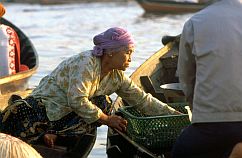 Banjarmasin: Floating Market