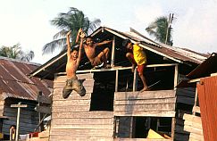 Banjarmasin: Kinder springen vom Dach eines Hauses in den Kanal